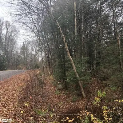 0 LOON LAKE Road, Kearney, ON P0A 1M0