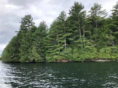 25 Chief's, Muskoka Lakes, On, P0b 1h0