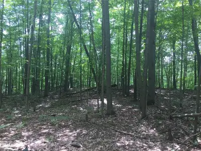 . EAST Road, Minden Hills, ON K0M 2K0