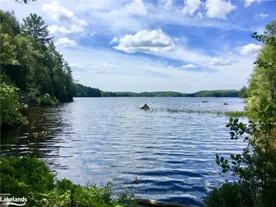 LL BLUNDELL ROAD Lane, Parry Sound Remote Area, ON P0H 1Y0