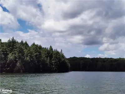 0 BILLY BEAR Road, Lake of Bays, ON P0A 1H0