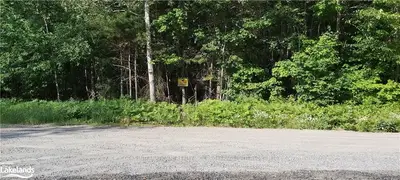Lot Stephenson Rd 7 Road E, Huntsville, On P0b 1m0