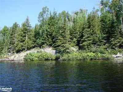 3 Debois Lake W/a Way, Whitestone, On P2a 1t7