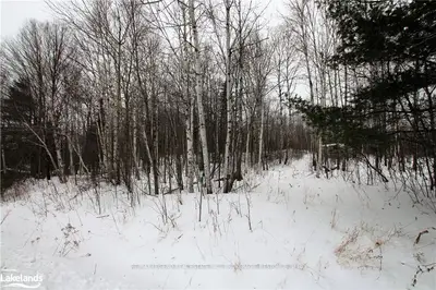 27 Janice Street, Parry Sound Remote Area, On P0h 2r0