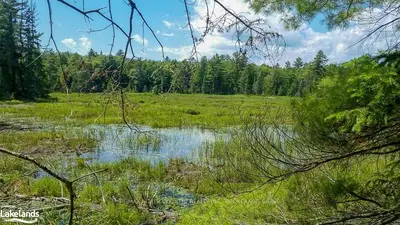 . Prospect Lake Road Road, Bracebridge, On P1l 1x1