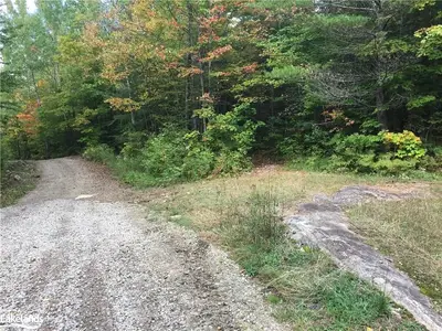 0 Old Bobcaygeon Road, Minden Hills, On K0m 1j1