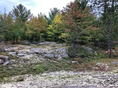 0 Bear Creek Road, Nipissing, On P0h 1w0