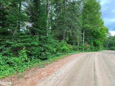 1117 Cedar Lake Road, Highlands East, On K0l 3c0