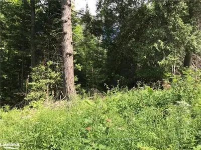 0 Rye Road N, Parry Sound Remote Area, On P0a 1x0