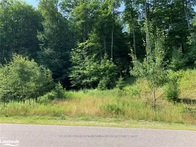 11 Birchwood Drive, Huntsville, On P1h 0a6