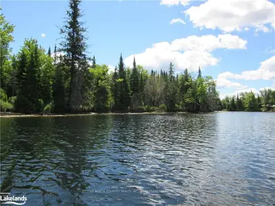 MUSKOKA RIVER, Bracebridge, ON P1L 1X3