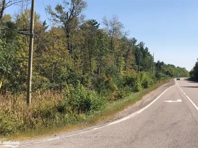 . Highway #118 & Leonard Lake Rd. #1 Road, Muskoka Lakes, On P1l 1w8