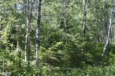 1609 Hospitality Road, Minden Hills, On K0m 2k0