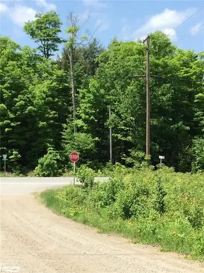 0 Long Line Lake/hwy 117 Road, Lake Of Bays, On P0e 1e0