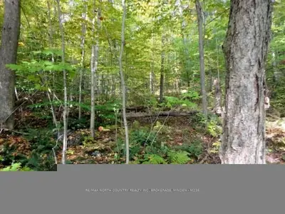 Between 14063 &14157 Highway 35, Minden Hills, On, K0m 2k0