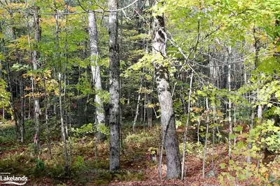 Lot 2 Clam Lake Road, Kearney, On P0a 1m0