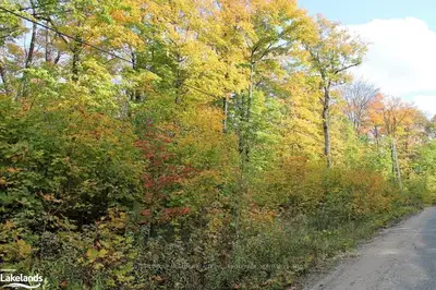 Lot 3 Clam Lake Road, Kearney, On P0a 1m0
