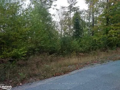 1393 Williamsport Road N, Huntsville, On P1h 2j4