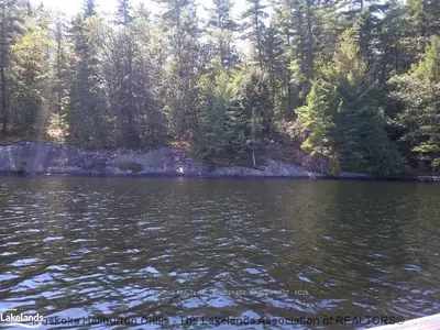 Bala Park Island, Muskoka Lakes, On, P0a 1c0