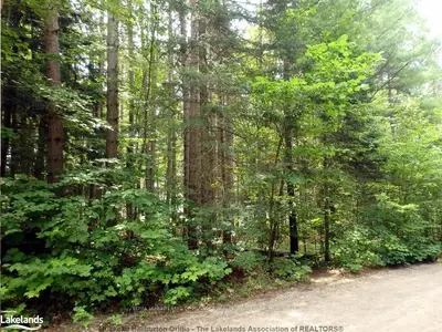 Corner Of Fairview Lane And Hwy 592, Perry, On, P0a 1j0