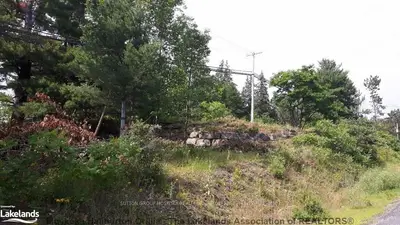 726 Highway 60, Huntsville, On, P1h 2j6