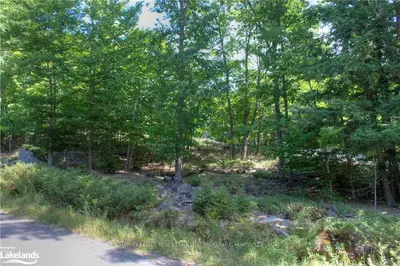 643 Gryffin Lodge Road, Huntsville, On P1h 2j2