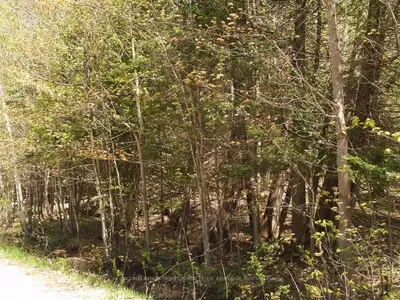 1029 East Walker Lake Road, Lake Of Bays, On P1h 2j6
