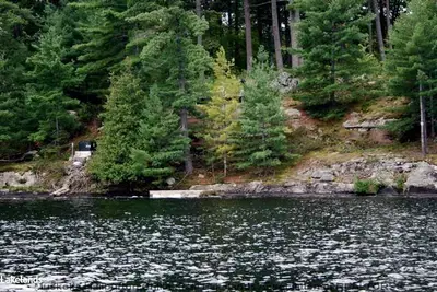 Lot 7 Bala Park Island Unit M8, Muskoka Lakes, On, P0c 1a0