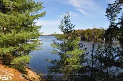 Lot 7 Bala Park Island Unit M8, Muskoka Lakes, On, P0c 1a0