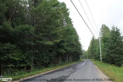 Lot 2 Lone Pine Drive, Bracebridge, On P0b 1l0