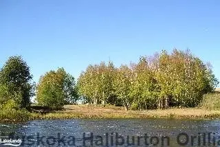 26 Tom Thomson Lane, Parry Sound Remote Area, On P0a 1x0