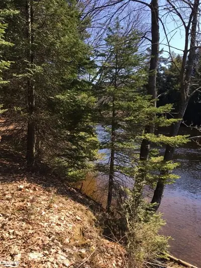 241 Seelys Road, Huntsville, On P1h 2j3