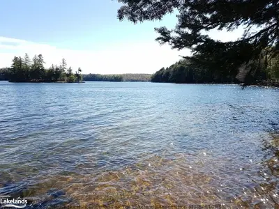 620 Three Mile Lake Road, Armour, On P0a 1c0