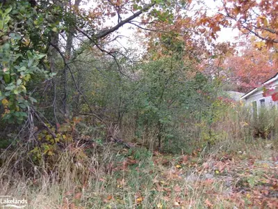 21 Emily Street, Parry Sound, On P2a 2p4
