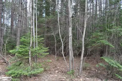 25 Muskoka Glenns Road, Huntsville, On P1h 2j3