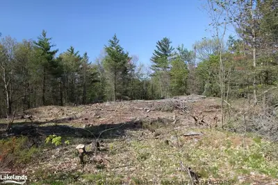 61 Shebeshekong Estates Road N, Carling, On P0g 1g0