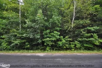 555 Williamsport Road, Huntsville, On P1h 2k5