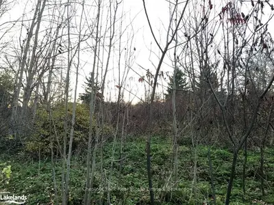 Lt 26 Pt 3 Slabtown Road, Blue Mountains, On N0h 1j0