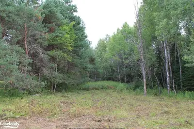 Chaffey Township Road, Huntsville, On P1h 1c8