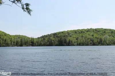 Lot 5 Tom Thomson Trail, Lake Of Bays, On P1h 2j6