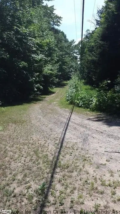 Limberlost Road, Lake Of Bays, On P1h 2j6