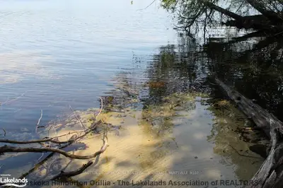 Lot 4 Tom Thomson Trail, Lake Of Bays, On P1h 2j6