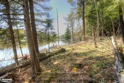 Lot 21 Walker Lake Road, Lake Of Bays, On P1h 2j6