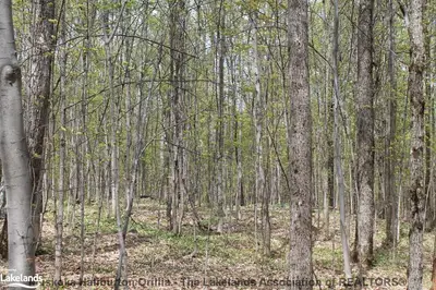 Walker Lake Drive, Lake Of Bays, On P1h 2j6