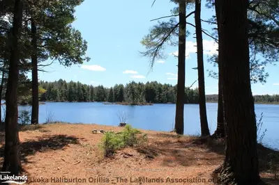 1448 Limberlost Road, Lake Of Bays, On P1h 2j6