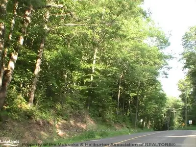 162 Hoodstown Road, Huntsville, On P1h 1g6