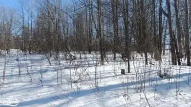 154 Bowles Bluff Road, Grey Highlands, On N0c 1h0