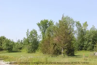 Lot 46 Hillside Drive, Georgian Bay, On L0k 1s0