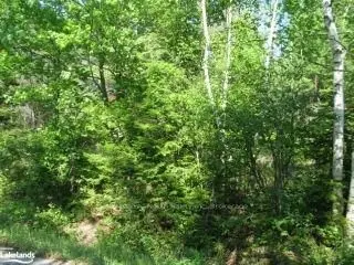 Lot 3 Hass Road, French River / Rivière Des Français, On P0m 1a0