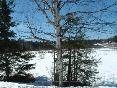 Miller Road, Parry Sound Remote Area, On P0a 1x0